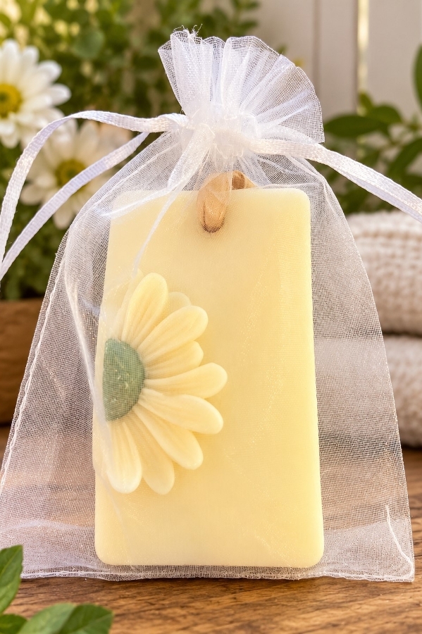 Daisy Flower