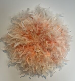 Peach Feather Wall Decor