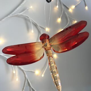 Rainbow Krystal Hanging Dragonfly - F