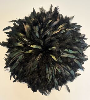 Natural Black Feather Wall Decor
