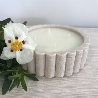 Desert Sanctuary without Lid