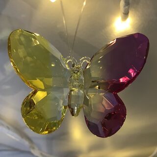 Rainbow Krystal Hanging Butterfly Small - D